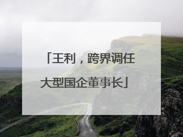 王利，跨界调任大型国企董事长
