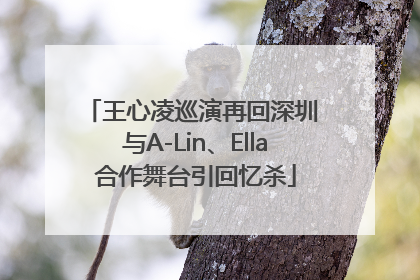 王心凌巡演再回深圳 与A-Lin、Ella合作舞台引回忆杀