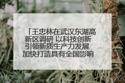 王忠林在武汉东湖高新区调研 以科技创新引领新质生产力发展 加快打造具有全国影响力的科技创新高地