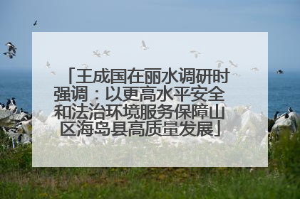 王成国在丽水调研时强调：以更高水平安全和法治环境服务保障山区海岛县高质量发展