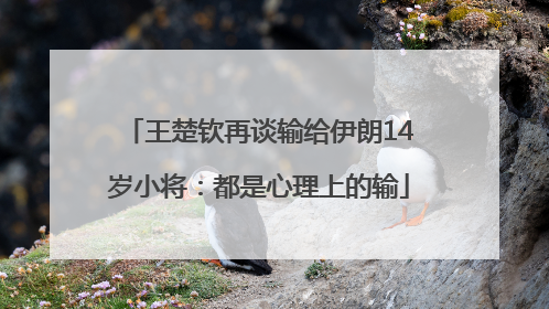 王楚钦再谈输给伊朗14岁小将：都是心理上的输