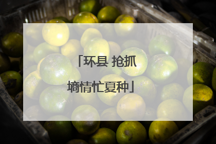 环县 抢抓墒情忙夏种