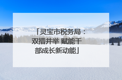 灵宝市税务局：双措并举 赋能干部成长新动能
