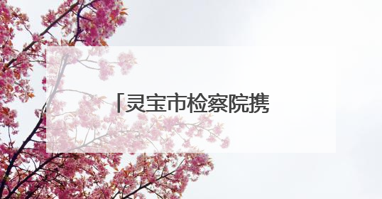 灵宝市检察院携手社工开展夏日送清凉帮教活动