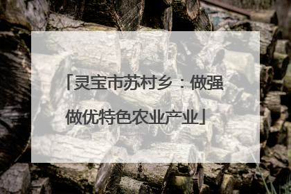 灵宝市苏村乡：做强做优特色农业产业