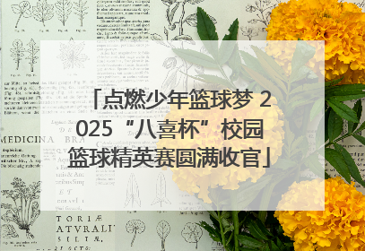 点燃少年篮球梦 2025“八喜杯”校园篮球精英赛圆满收官
