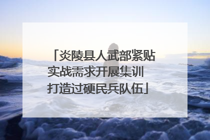 炎陵县人武部紧贴实战需求开展集训 打造过硬民兵队伍