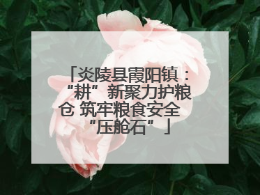 炎陵县霞阳镇：“耕”新聚力护粮仓 筑牢粮食安全“压舱石”