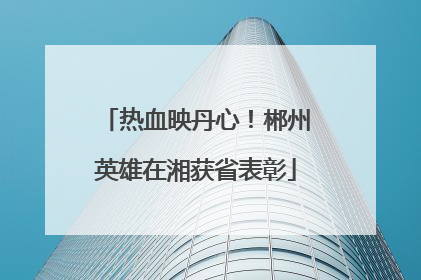 热血映丹心！郴州英雄在湘获省表彰