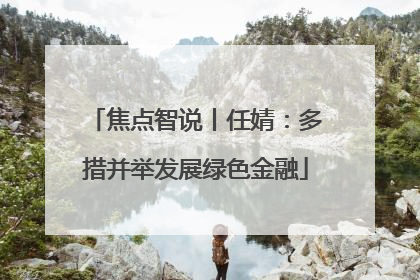 焦点智说丨任婧：多措并举发展绿色金融