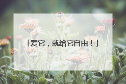 爱它，就给它自由！