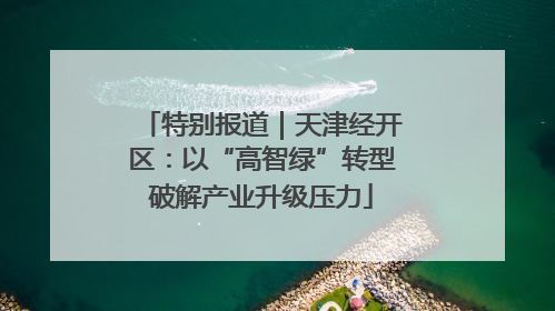 特别报道｜天津经开区：以“高智绿”转型破解产业升级压力