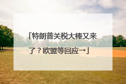 特朗普关税大棒又来了？欧盟等回应→