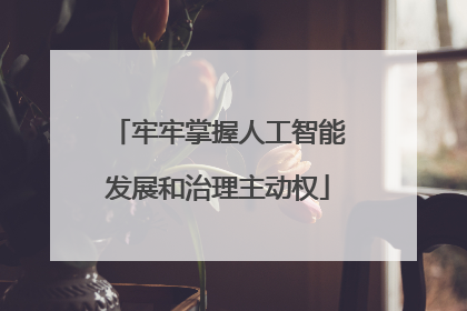 牢牢掌握人工智能发展和治理主动权