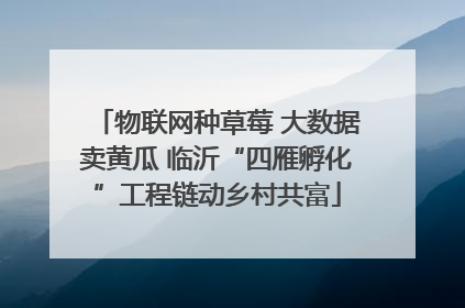 物联网种草莓 大数据卖黄瓜 临沂“四雁孵化”工程链动乡村共富