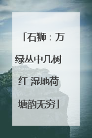 石狮：万绿丛中几树红 湿地荷塘韵无穷