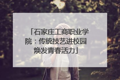 石家庄工商职业学院：传统技艺进校园焕发青春活力