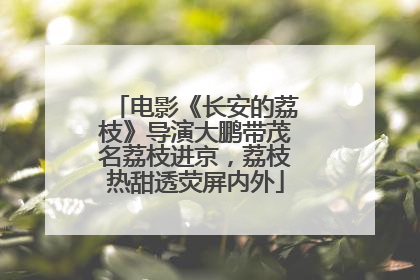 电影《长安的荔枝》导演大鹏带茂名荔枝进京，荔枝热甜透荧屏内外