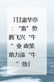 甘肃华亭：“畜”势腾飞兴“牛”业 政策助力添“牛”劲