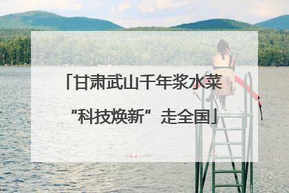 甘肃武山千年浆水菜“科技焕新”走全国