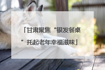 甘肃聚焦“银发餐桌”托起老年幸福滋味