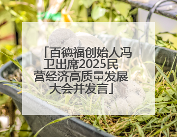 百德福创始人冯卫出席2025民营经济高质量发展大会并发言