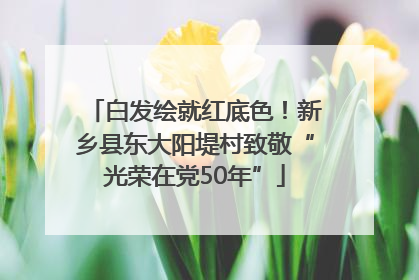 白发绘就红底色！新乡县东大阳堤村致敬“光荣在党50年”
