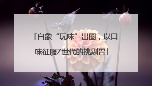 白象“玩味”出圈，以口味征服Z世代的挑剔胃