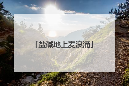 盐碱地上麦浪涌