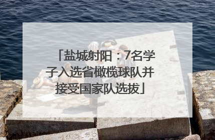 盐城射阳：7名学子入选省橄榄球队并接受国家队选拔