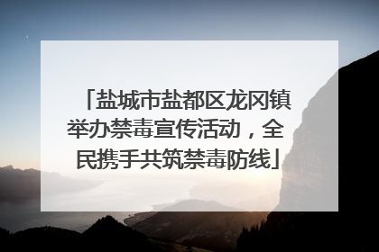 盐城市盐都区龙冈镇举办禁毒宣传活动，全民携手共筑禁毒防线