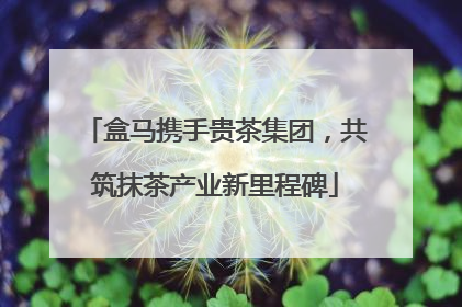 盒马携手贵茶集团，共筑抹茶产业新里程碑