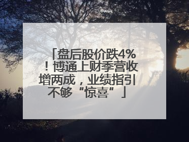盘后股价跌4%！博通上财季营收增两成，业绩指引不够“惊喜”
