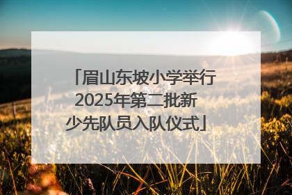 眉山东坡小学举行2025年第二批新少先队员入队仪式