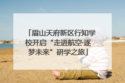 眉山天府新区行知学校开启“走进航空·逐梦未来”研学之旅