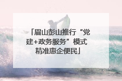 眉山彭山推行“党建+政务服务”模式 精准惠企便民
