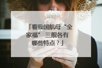 看我国航母“全家福” 三舰各有哪些特点？