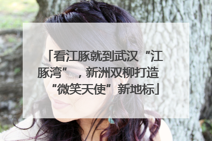 看江豚就到武汉“江豚湾”，新洲双柳打造“微笑天使”新地标