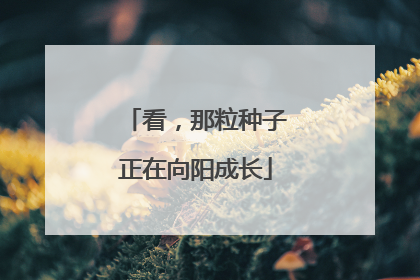 看，那粒种子正在向阳成长