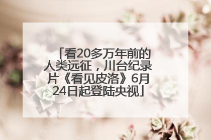 看20多万年前的人类远征，川台纪录片《看见皮洛》6月24日起登陆央视