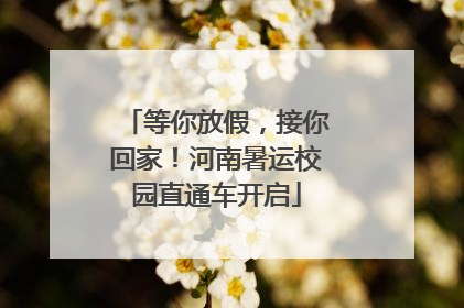 等你放假，接你回家！河南暑运校园直通车开启