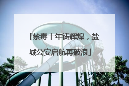 禁毒十年铸辉煌，盐城公安启航再破浪