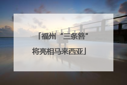 福州“三条簪”将亮相马来西亚