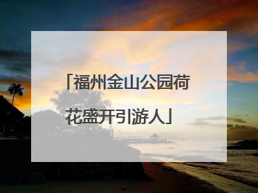 福州金山公园荷花盛开引游人