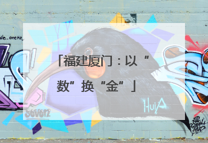 福建厦门：以“数”换“金”
