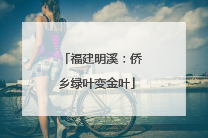 福建明溪：侨乡绿叶变金叶