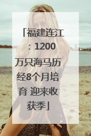 福建连江：1200万只海马历经8个月培育 迎来收获季