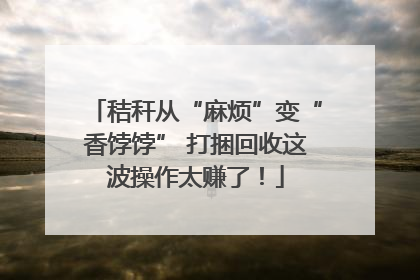 秸秆从“麻烦”变“香饽饽” 打捆回收这波操作太赚了！
