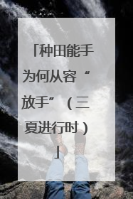 种田能手为何从容“放手”（三夏进行时）