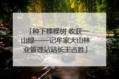 种下棵棵树 收获一山绿——记牟家大山林业管理站站长王占胜